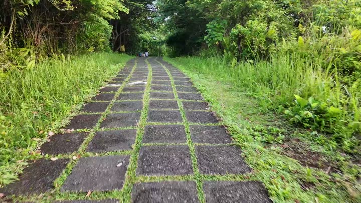 Campuhan Ridge, Bali