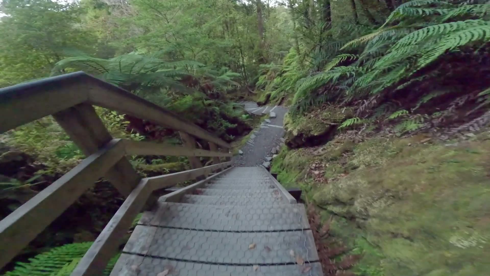 Lake Matheson